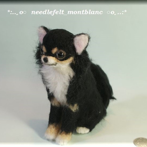 羊毛フェルト 犬 チワワ ロングコート ブラックタン 羊毛