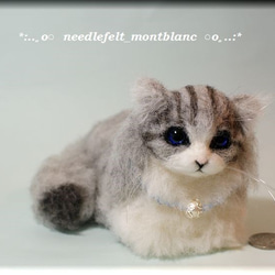 羊毛フェルト　猫　フサフサな猫ちゃんB　ねこ　ネコ　 5枚目の画像
