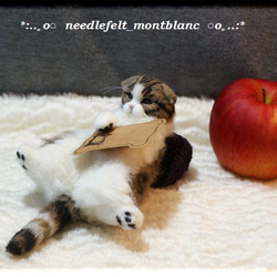 羊毛フェルト　猫　スコティッシュフォールド 5枚目の画像