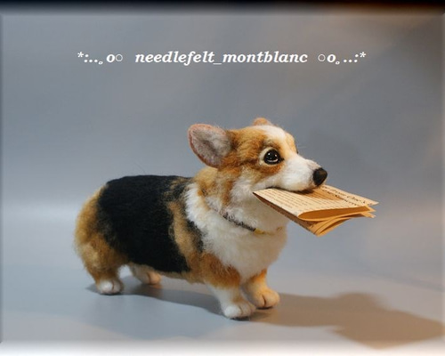 0_3c01f0bf678c0616ea567b0203f8