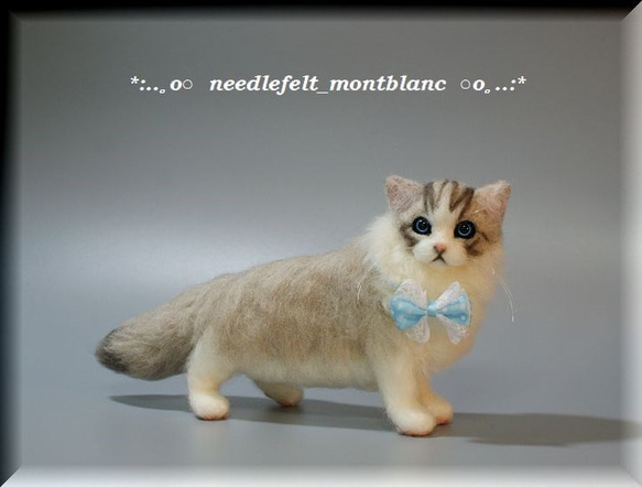 羊毛フェルト　猫　ラグドール　ねこ　ネコ　 1枚目の画像