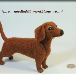 羊毛フェルト 犬 ダックスフント ダックスフンド スムース レッド 羊毛