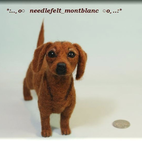 羊毛フェルト 犬 ダックスフント ダックスフンド スムース