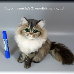 羊毛フェルト　猫　ペルシャ猫　チンチラゴールデン　ねこ　ネコ　 2枚目の画像