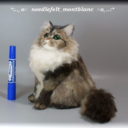 羊毛フェルト　猫　ペルシャ猫　チンチラゴールデン　ねこ　ネコ　 4枚目の画像