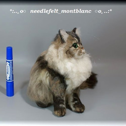 羊毛フェルト　猫　ペルシャ猫　チンチラゴールデン　ねこ　ネコ　 7枚目の画像