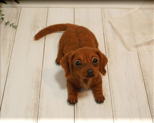 羊毛フェルト 犬 ダックスフンド スムース レッド ダックスフント 羊毛