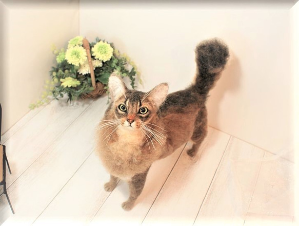 羊毛フェルト 猫 ソマリ ねこ ネコ 羊毛フェルト モンブラン 通販