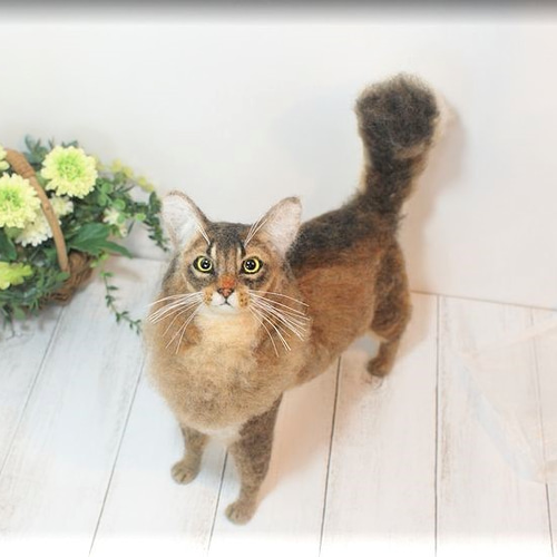 ソマリ 猫 羊毛フェルト フレーム アビシニアン 羊毛フェルト 猫 ソマリ ねこ ネコ 羊毛フェルト モンブラン 通販