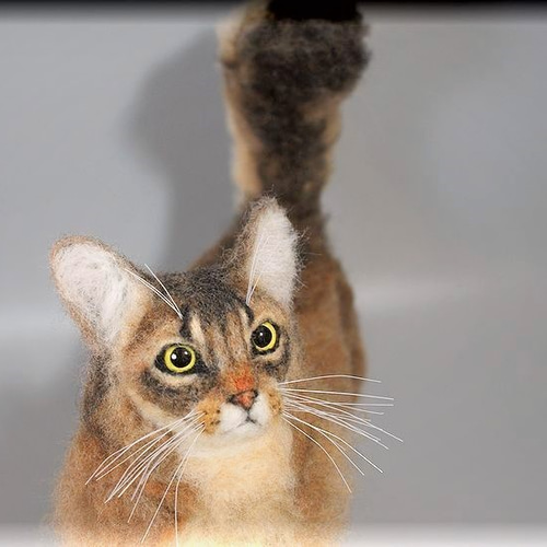 羊毛フェルト 猫 ソマリ ねこ ネコ 羊毛フェルト モンブラン 通販