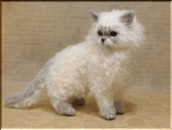 羊毛フェルト　猫　セルカークレックス　ねこ　ネコ　 1枚目の画像