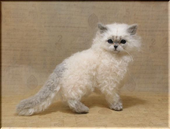 羊毛フェルト　猫　セルカークレックス　ねこ　ネコ　 2枚目の画像