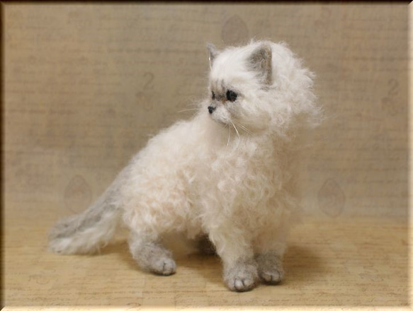 羊毛フェルト　猫　セルカークレックス　ねこ　ネコ　 3枚目の画像