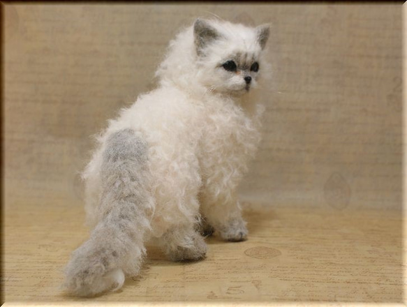 羊毛フェルト　猫　セルカークレックス　ねこ　ネコ　 4枚目の画像