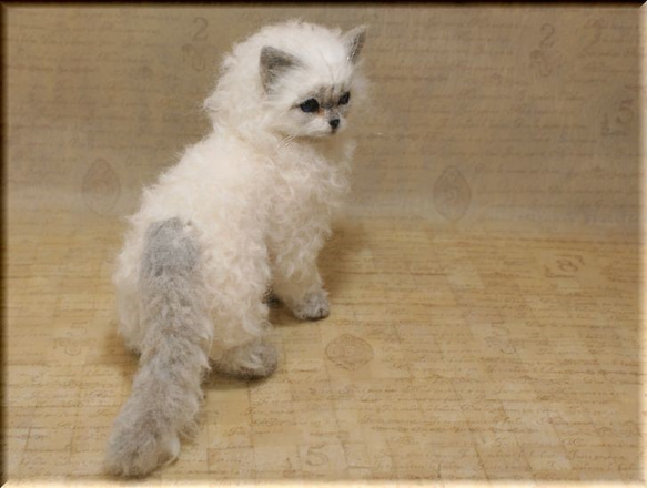 羊毛フェルト　猫　セルカークレックス　ねこ　ネコ　 5枚目の画像