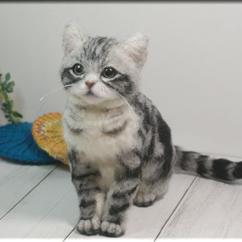 羊毛フェルト 猫 アメリカンショートヘア ねこ ネコ アメリカン