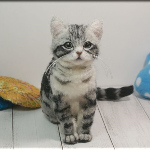 羊毛フェルト 猫 アメリカンショートヘア ねこ ネコ アメリカン