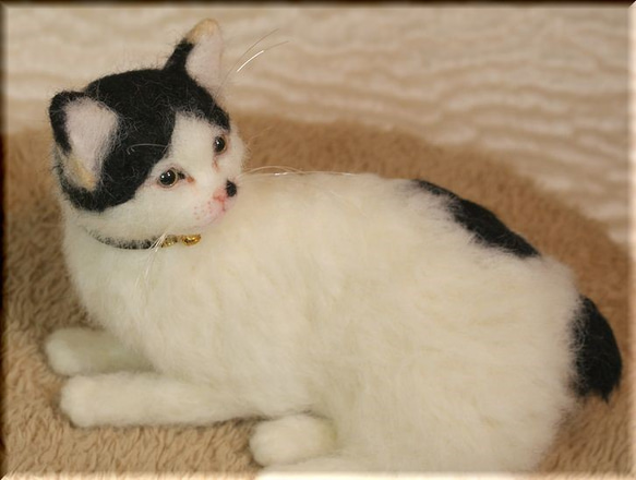 もたこ 羊毛フェルト猫 スコティッシュフォールド 羊毛フェルト