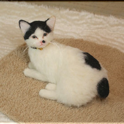羊毛フェルト　猫　はちわれ猫さん ジャパニーズ・ボブテイル　ねこ　ネコ　猫フィギュア 4枚目の画像