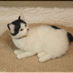 羊毛フェルト　猫　はちわれ猫さん ジャパニーズ・ボブテイル　ねこ　ネコ　猫フィギュア 8枚目の画像