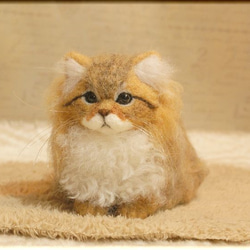 白猫 ペルシャ 羊毛フェルト ハンドメイド 子猫 cat 羊毛