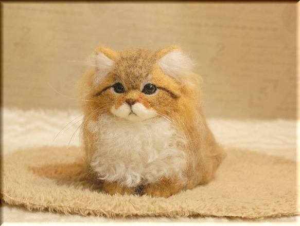 羊毛フェルト　猫　ペルシャ猫　チンチラゴールデン　猫フィギュア 1枚目の画像