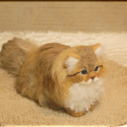 羊毛フェルト　猫　ペルシャ猫　チンチラゴールデン　猫フィギュア 2枚目の画像