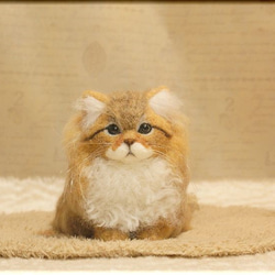 羊毛フェルト　猫　ペルシャ猫　チンチラゴールデン　猫フィギュア 3枚目の画像