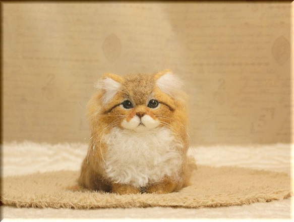 羊毛フェルト　猫　ペルシャ猫　チンチラゴールデン　猫フィギュア 3枚目の画像