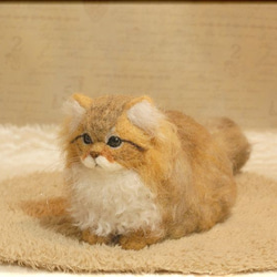 羊毛フェルト　猫　ペルシャ猫　チンチラゴールデン　猫フィギュア 4枚目の画像