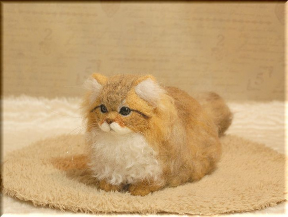 羊毛フェルト　猫　ペルシャ猫　チンチラゴールデン　猫フィギュア 4枚目の画像