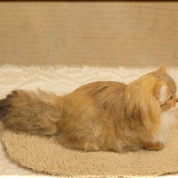 羊毛フェルト　猫　ペルシャ猫　チンチラゴールデン　猫フィギュア 5枚目の画像