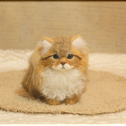 羊毛フェルト　猫　ペルシャ猫　チンチラゴールデン　猫フィギュア 6枚目の画像