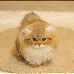 羊毛フェルト　猫　ペルシャ猫　チンチラゴールデン　猫フィギュア 7枚目の画像