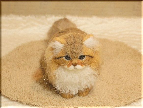 羊毛フェルト　猫　ペルシャ猫　チンチラゴールデン　猫フィギュア 7枚目の画像