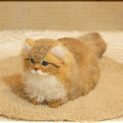 羊毛フェルト　猫　ペルシャ猫　チンチラゴールデン　猫フィギュア 8枚目の画像