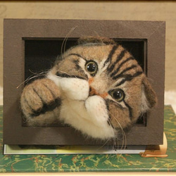 羊毛フェルト　猫　スコティッシュフォールドの フレーム　ねこ　ネコ　アメショー 1枚目の画像