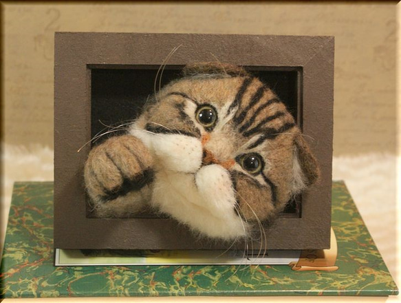 羊毛フェルト　猫　スコティッシュフォールドの フレーム　ねこ　ネコ　アメショー 1枚目の画像
