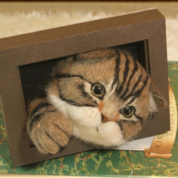 羊毛フェルト　猫　スコティッシュフォールドの フレーム　ねこ　ネコ　アメショー 2枚目の画像