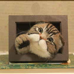 羊毛フェルト　猫　スコティッシュフォールドの フレーム　ねこ　ネコ　アメショー 3枚目の画像