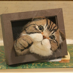 羊毛フェルト　猫　スコティッシュフォールドの フレーム　ねこ　ネコ　アメショー 4枚目の画像