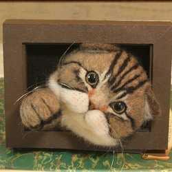 羊毛フェルト　猫　スコティッシュフォールドの フレーム　ねこ　ネコ　アメショー 5枚目の画像
