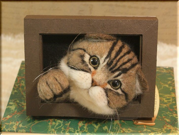 羊毛フェルト　猫　スコティッシュフォールドの フレーム　ねこ　ネコ　アメショー 5枚目の画像