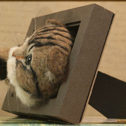 羊毛フェルト　猫　スコティッシュフォールドの フレーム　ねこ　ネコ　アメショー 6枚目の画像