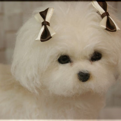 羊毛フェルト 犬 マルチーズ 犬フィギュア 羊毛フェルト