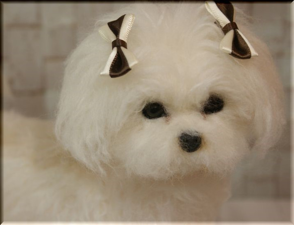 羊毛フェルト犬マルチーズ#28 羊毛フェルト犬マルチーズ#28 羊毛フェルト いぬ マルチーズ