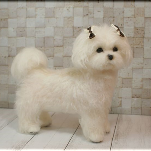羊毛フェルト 犬のぬいぐるみ 約15cmマルチーズ 羊毛フェルト 犬のぬいぐるみ 約15cmマルチーズ - メルカリ