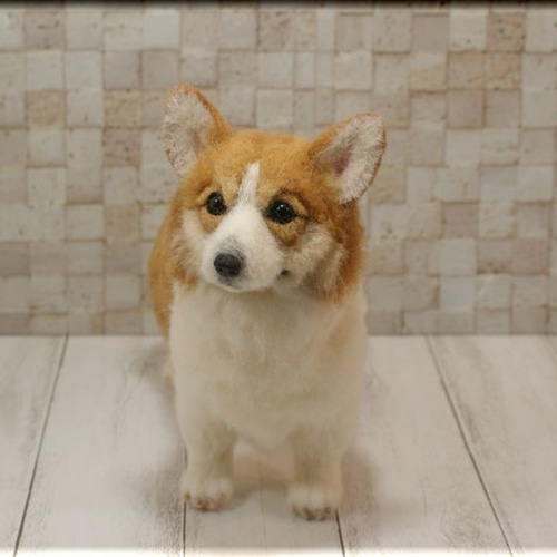 羊毛フェルト　ウエルシュコーギー 羊毛フェルト 犬 コーギー ウェルシュ・コーギー 犬フィギュア