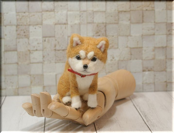 モンブラン 羊毛フェルト 犬 白柴ちゃん 羊毛フェルト 犬 白柴犬の子犬 柴犬 しばいぬ 犬フィギュア 羊毛