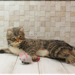 羊毛フェルト　猫　キジトラ猫さん　ねこ　ネコ　猫フィギュア 5枚目の画像